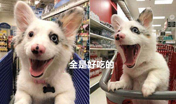 星空·综合体育