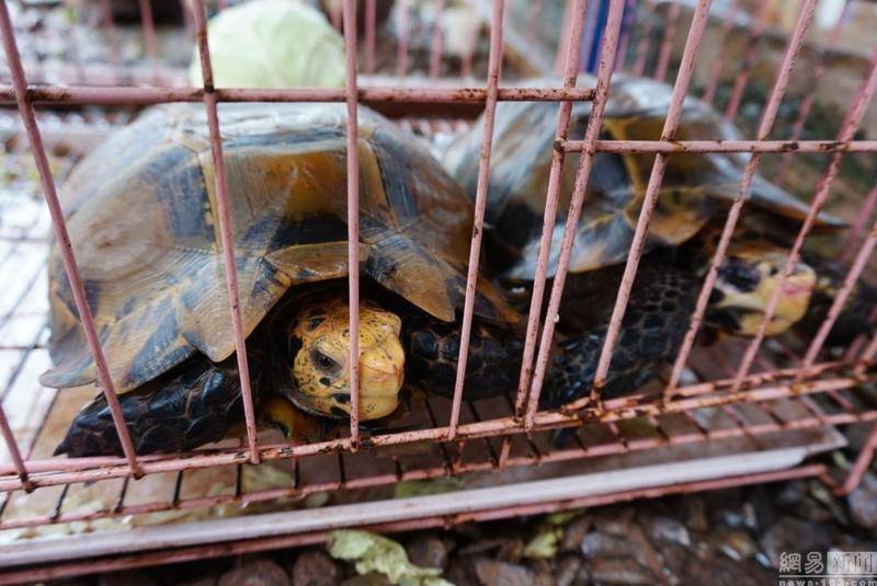 星空·综合体育