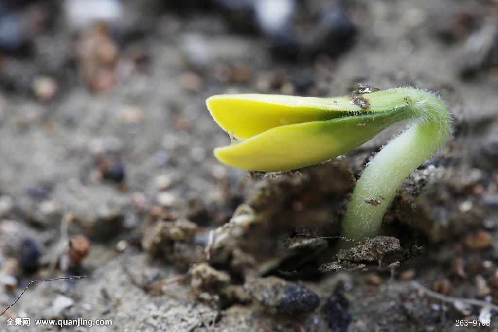 星空·综合体育官方网站