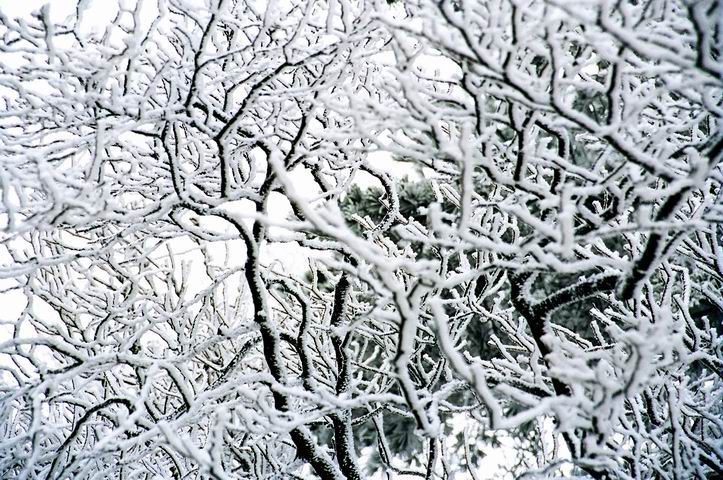 星空·综合体育