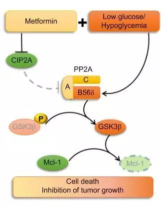 星空·综合体育官方网站
