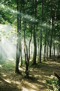 星空·综合体育官方网站