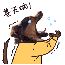 星空·综合体育官方网站