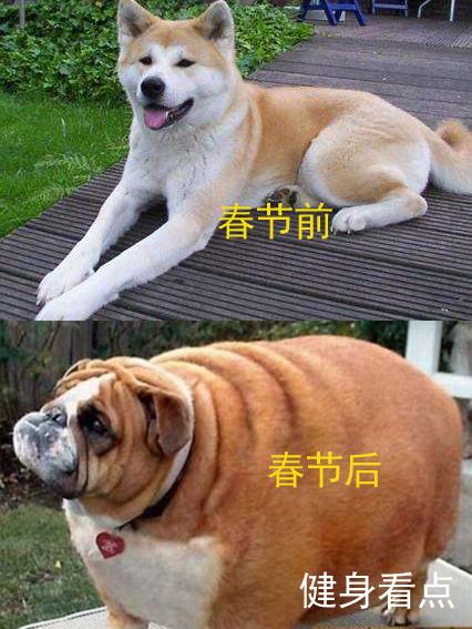 星空·综合体育官方网站