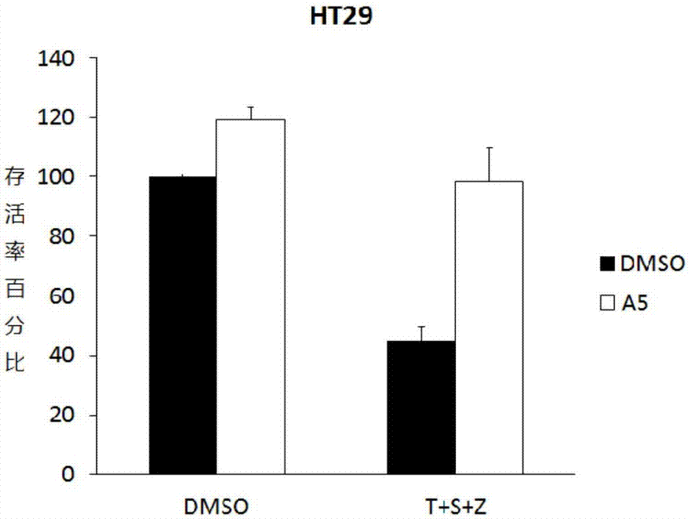 星空·综合体育官方网站