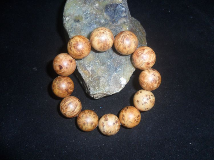 星空·综合体育中国官方网站