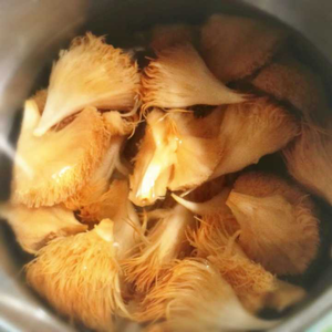 星空·综合体育中国官方网站