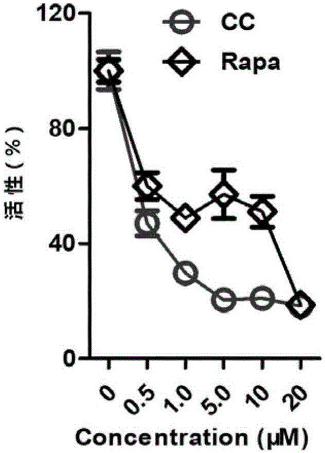 星空综合